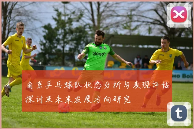 南京乒乓球队状态分析与表现评估探讨及未来发展方向研究