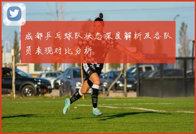成都乒乓球队状态深度解析及各队员表现对比分析